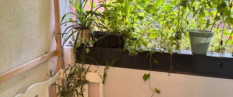 Sublet of 2-Room Apartment with Registration (Anmeldung) - Foto 1