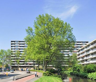 Groenhof, 52, Amstelveen - Foto 5