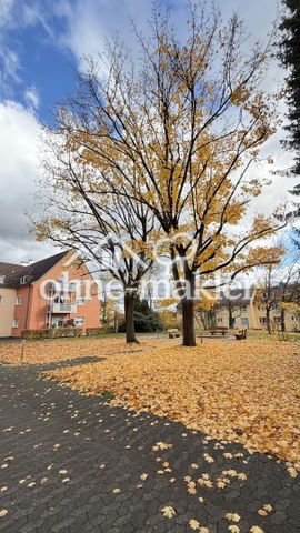 Erstbezug - Renovierte 4-Zimmer Wohnung am Rechenberg direkt im Grünen - Photo 2