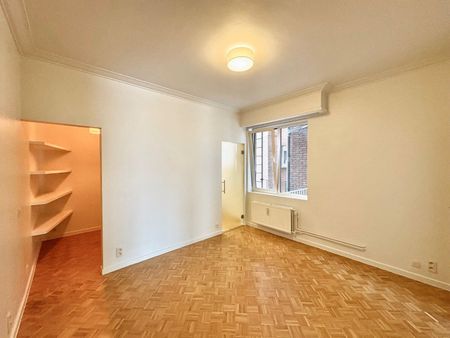 Ruim en verzorgd appartement met 1 slaapkamer in hartje Antwerpen - Foto 3