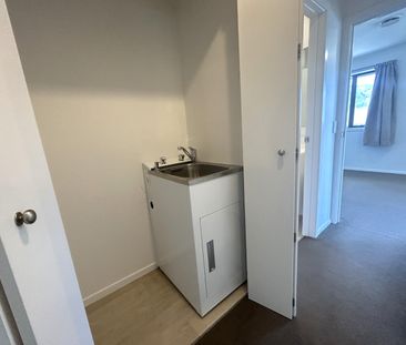 43b St Lawrence Street, Toi Toi, Nelson - Photo 3