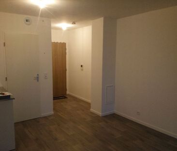 Location appartement 2 pièces, 37.68m², Saulx-les-Chartreux - Photo 4
