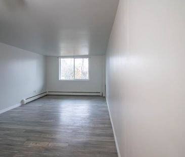 **All Inclusive** Charming 1-Bedroom Apartment in St. Catharines - Photo 2