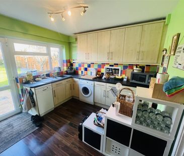 18696551 Brainsfield, Bristol - Photo 6