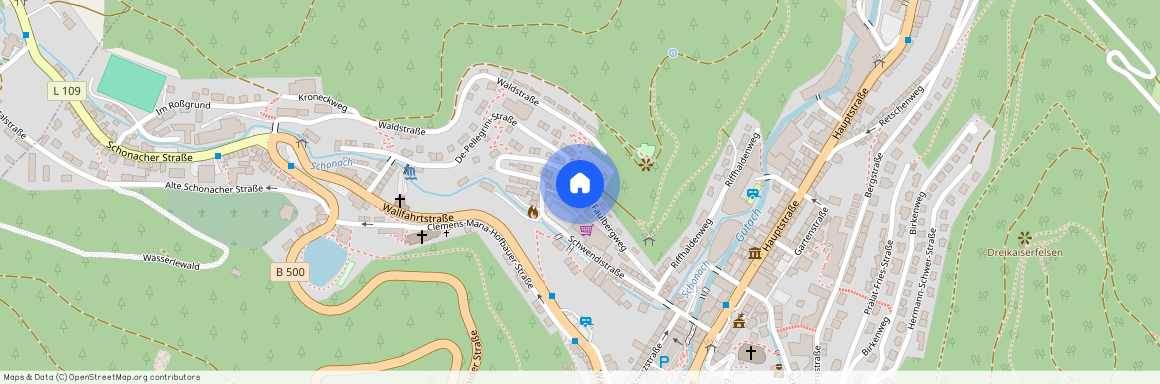 Faulbergweg 11, 78098 Triberg