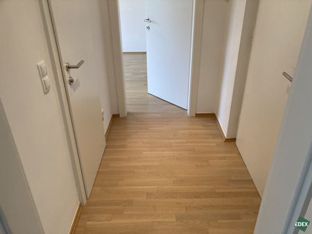 Ruhelage: Schöne 2-Zimmer-Wohnung mit separater Küche nahe Belvedere - Foto 3