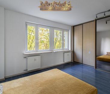 Warszawa, Ursynów, Natolin, Mandarynki – zdjęcie 2