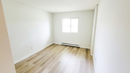Pinetree Apartments - Photo 2