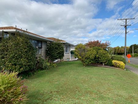 43 Skerman Street, Marton - Photo 2