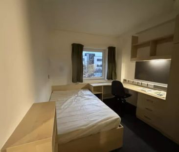 Single Wheelchair Accessible Ensuite - Photo 5