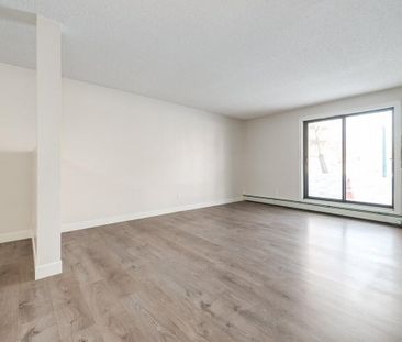 1 Bedroom - Photo 4
