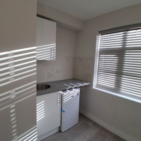 Studio Flat, Upper Clapton Road, E5 - Photo 4