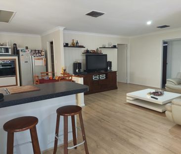 Marangaroo - Photo 6