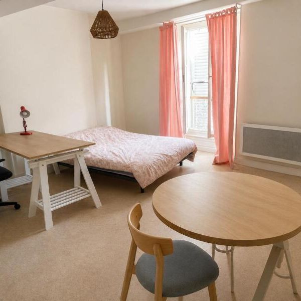 Location Appartement 1 pièce 27m² ORLEANS 45000 - Photo 2