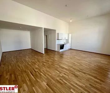 Geräumige Neubauwohnung mit guter Anbindung - Photo 2