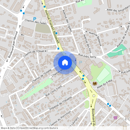 06110, Le-Cannet