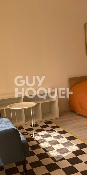 RIEDISHEIM : appartement F1 meublé (24 m²) à louer - Photo 1