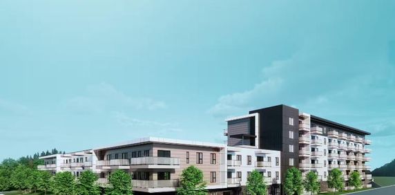 Le Pilier Lévis, 3 1/2 NEUFS, à partir octobre 2025 - Photo 2