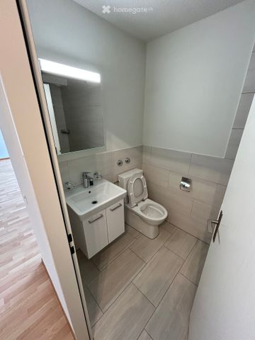 1.5-Zimmer-Wohnung in Zürich-Albisgüetli zu vermieten - Photo 5