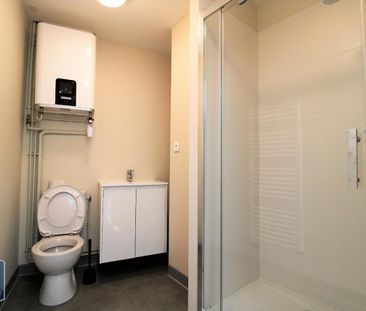 Location Appartement 1 pièce 21m² GRENOBLE 38000 - Photo 5