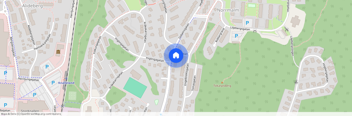 Borås, Döbelnsgatan, 80, 50637