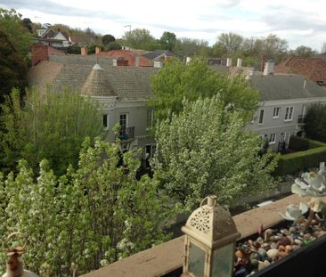 88/145 Canterbury Road, Toorak VIC 3142 - Studio For Rent | Domain - Photo 5