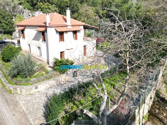 Μονοκατοικία για ενοικίαση Αριά (Λύρκεια) - Photo 1
