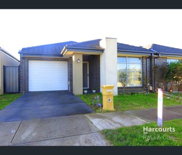 28 Jonesfield Street, Craigieburn, Vic 3064 - Photo 4