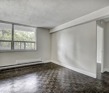 Nelson Manor - Photo 6