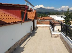 Διαμέρισμα για ενοικίαση - Θέρμη, - Φωτογραφία 5