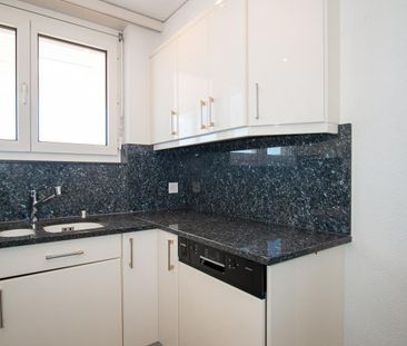 3½-Zimmer-Attikawohnung mit grosser Terrasse und toller Aussicht - Photo 6