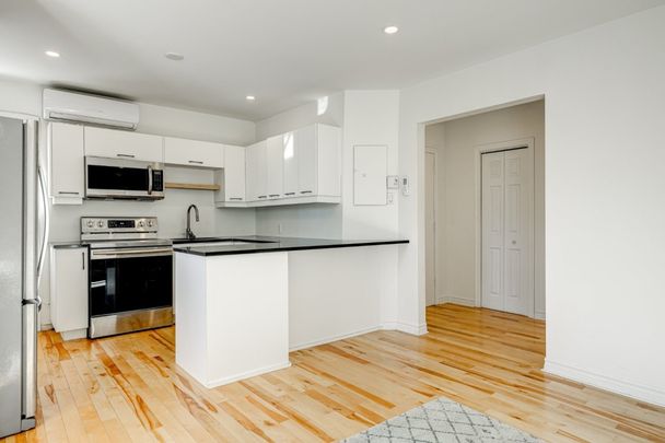 4052 Av. du Parc-La Fontaine, app.3, H2L 3M8, H2L 3M8, Montréal - Photo 1