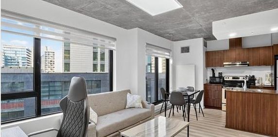 Condo Style Loft 1 chambre a coucher Griffintown 1085 Smith, Montreal FULLY FURNISHED/MEUBLÉ, gym, pool, spa, appliances, piscine, electros - Photo 2