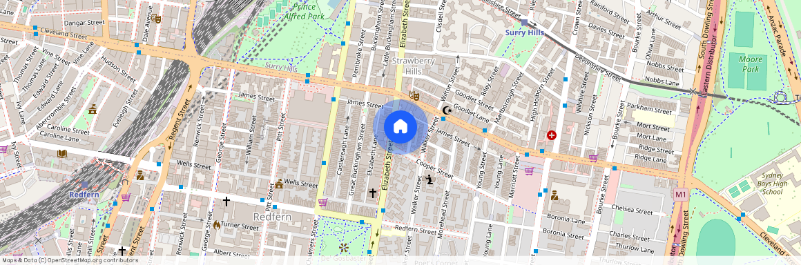 546 Elizabeth Street, NSW 2016, Redfern