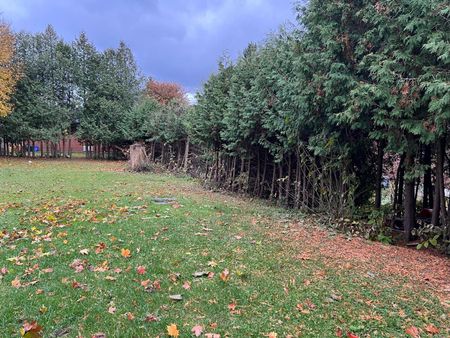 For Lease - 43 Maple Grove Avenue Unit# Basement, Richmond Hill, Ontario - Photo 2