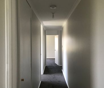 5 Noreen Place, Orange NSW 2800 - House For Rent | Domain - Photo 3