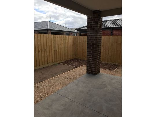 26 Cassava Street, Armstrong Creek VIC 3217 - House For Rent | Domain - Photo 1