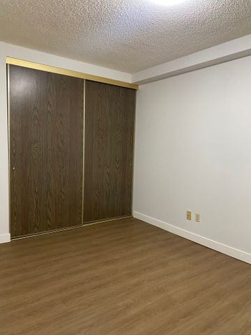Spacious One Bedroom Apartment in Beautiful Sunnyside - Photo 3