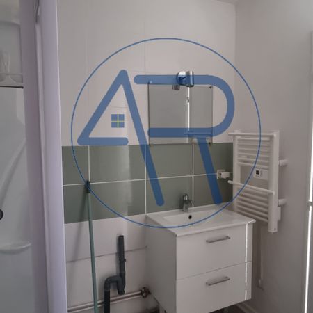 Location Appartement 1 pièce 25m² BRIOUDE 43100 - Photo 3