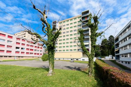 Magnifique appartement à Fribourg - Photo 5