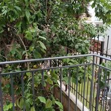 Διαμέρισμα για ενοικίαση - Άγιος Ελευθέριος - Προμπονά - Ριζούπολη, - Φωτογραφία 1