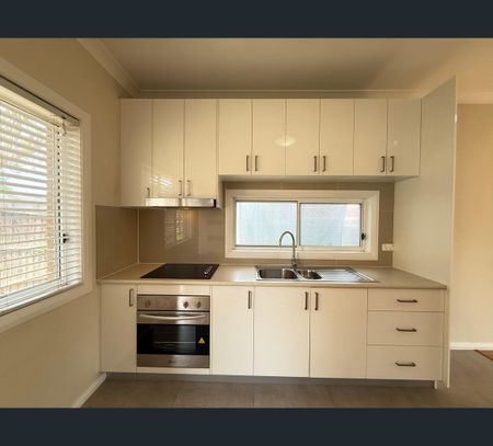 3A Mona Road, Riverwood, NSW 2210 - Photo 4