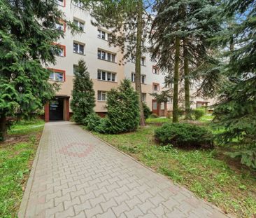 Ciche, dwustronne mieszkanie | Metro Wilanowska 42.4 m² - Photo 5