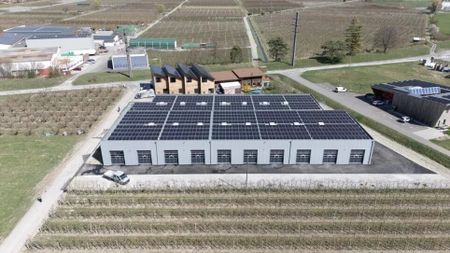 Halle Les Vergers Saxon Proximité de l'A9 - Foto 4