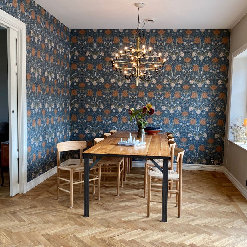 Lommavägen, Hjärup - Foto 1