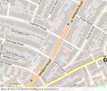 Newport Road, Roath - Photo 1