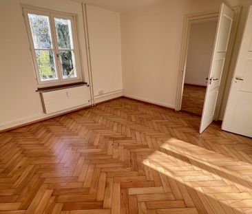 Wohnen auf dem Dreispitz; 3 Zimmer & separate Mansarde - Photo 6
