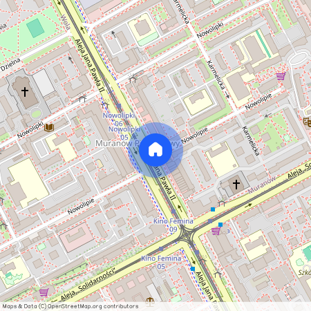 ul. Nowolipie, Muranów, Śródmieście, Warszawa, mazowieckie