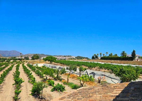 WIDE ESTATE FOR RENT IN TEULADA FOR LONG TERM