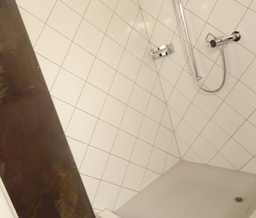 Schöne Wohnung mit Galerie und grossem Garten - Photo 6